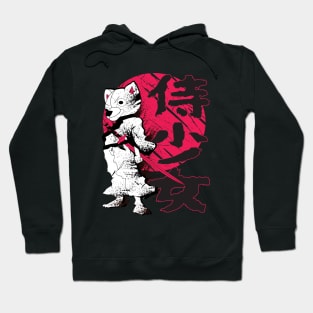 Samurai Japanese Anime warrior swordsman Hoodie